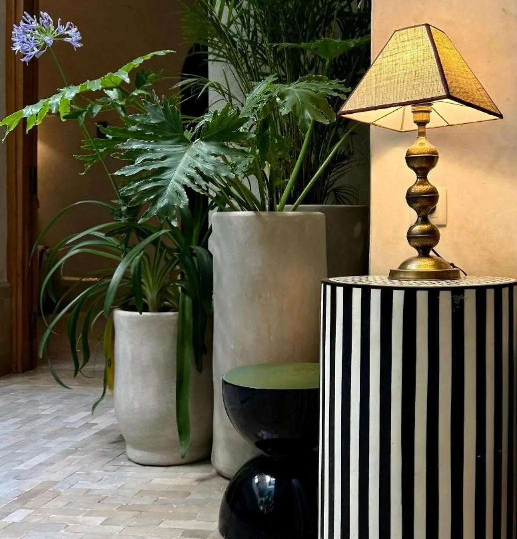 Riad Casa Felicita & Spa Marrakesh